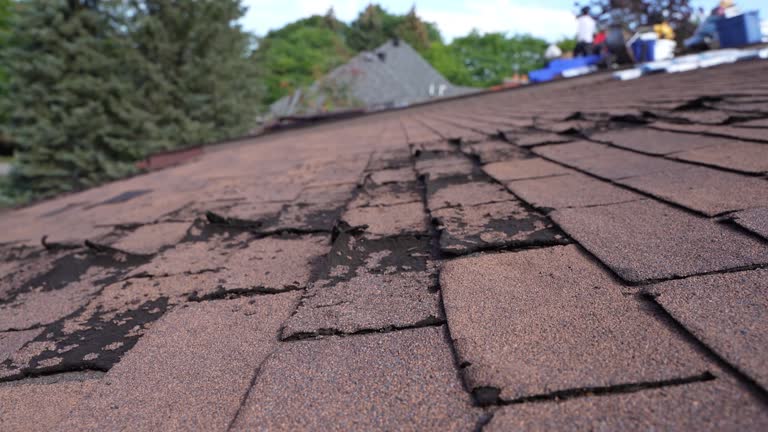Best 4 Ply Roofing  in Langley, WA