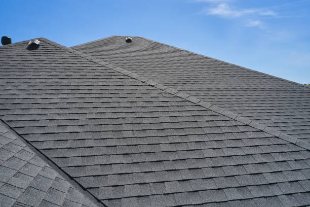 Best Sheet Metal Roofing  in Langley, WA